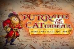 Purrates Of The Catibbean Review 2024